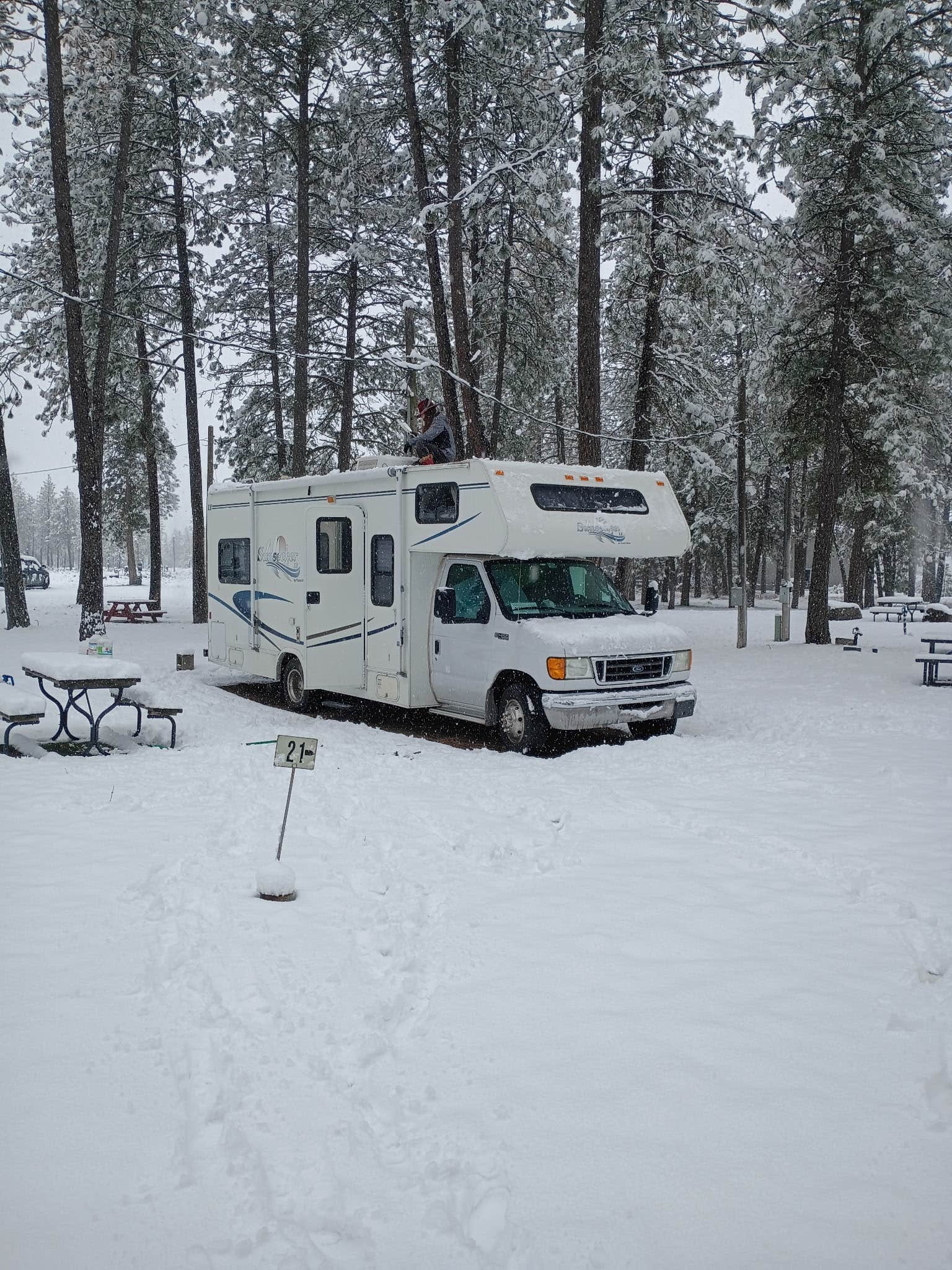 Sehvanna S.'s photo of rv camping at Peaceful Pines  RV Park & Campground near Mica, WA