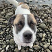 Review photo of Peach Beach RV Park on the Columbia by angelina H., September 8, 2025