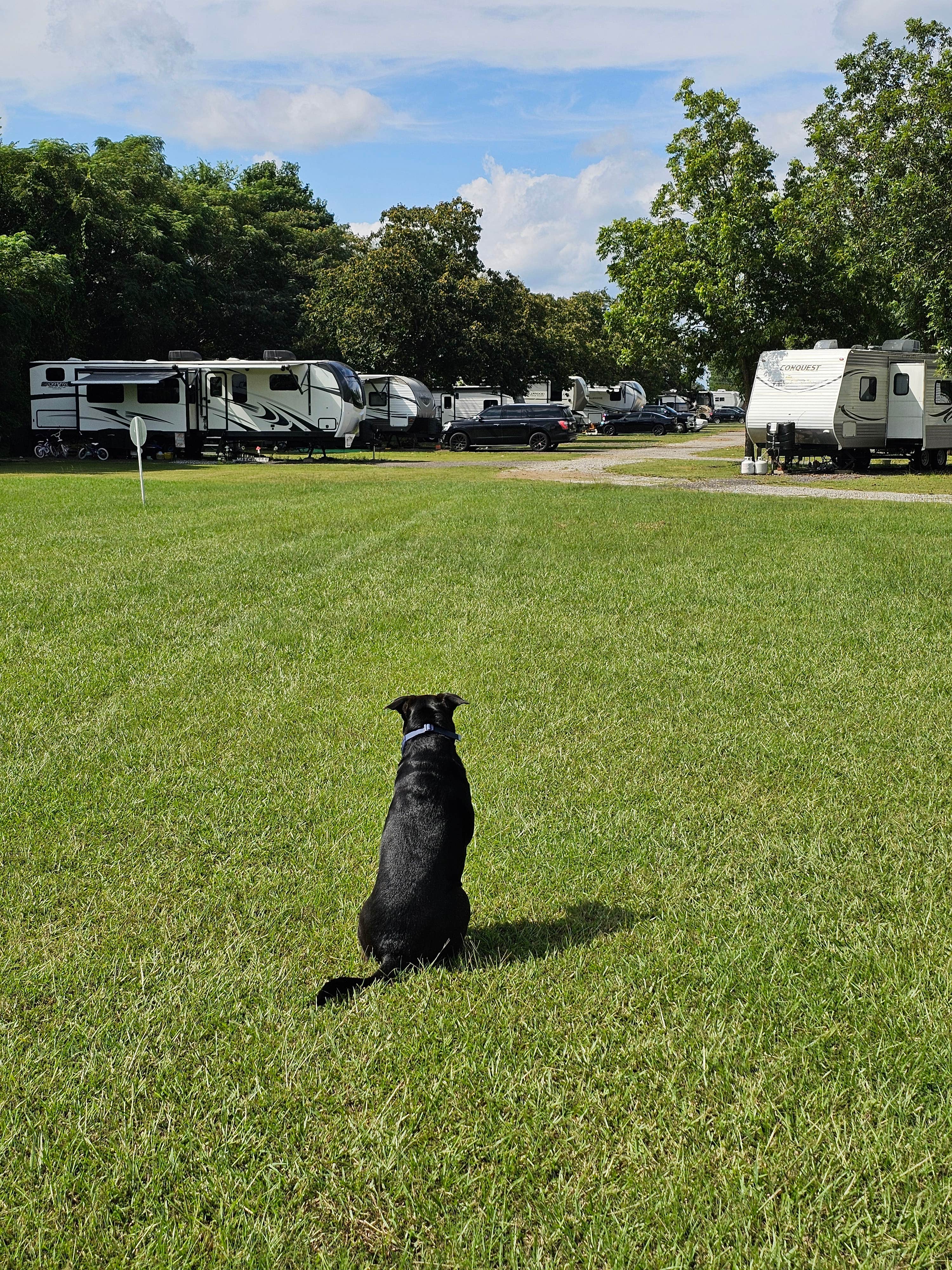 Camper-submitted photo at Peach Queen Campground near Hollins, AL
