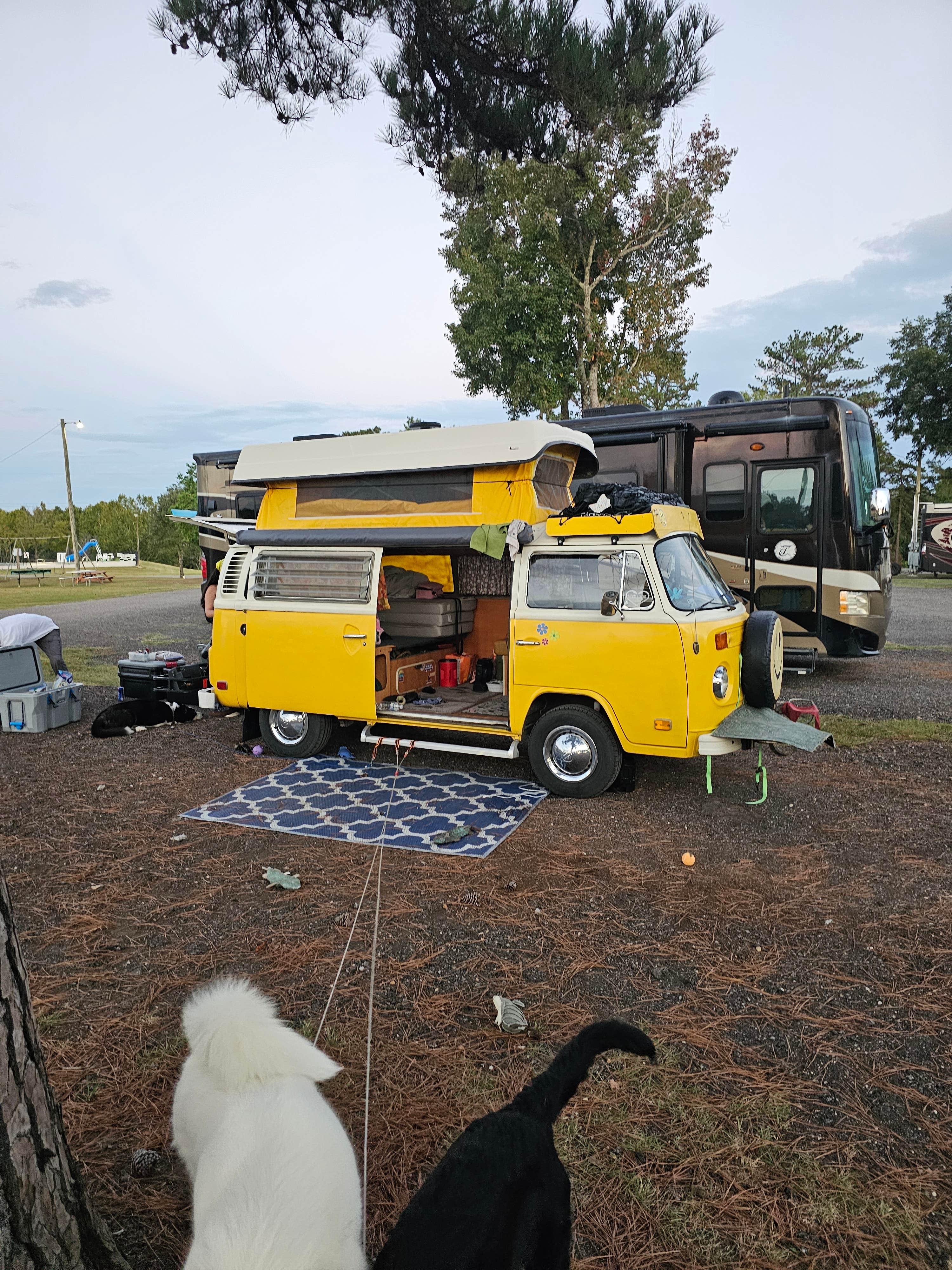 Camper submitted image from Peach Queen Campground - 3