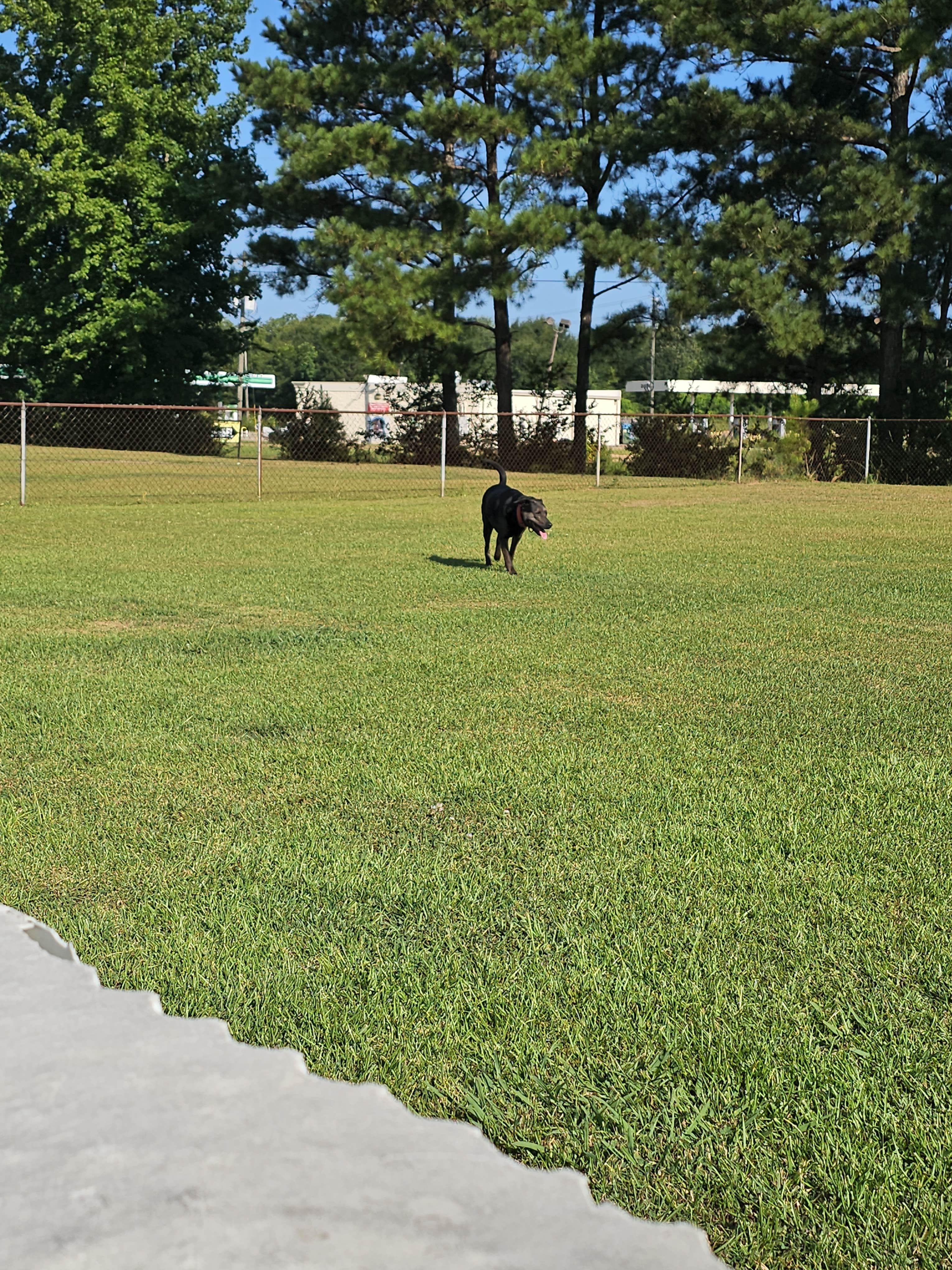 Camper-submitted photo at Peach Queen Campground near Hollins, AL