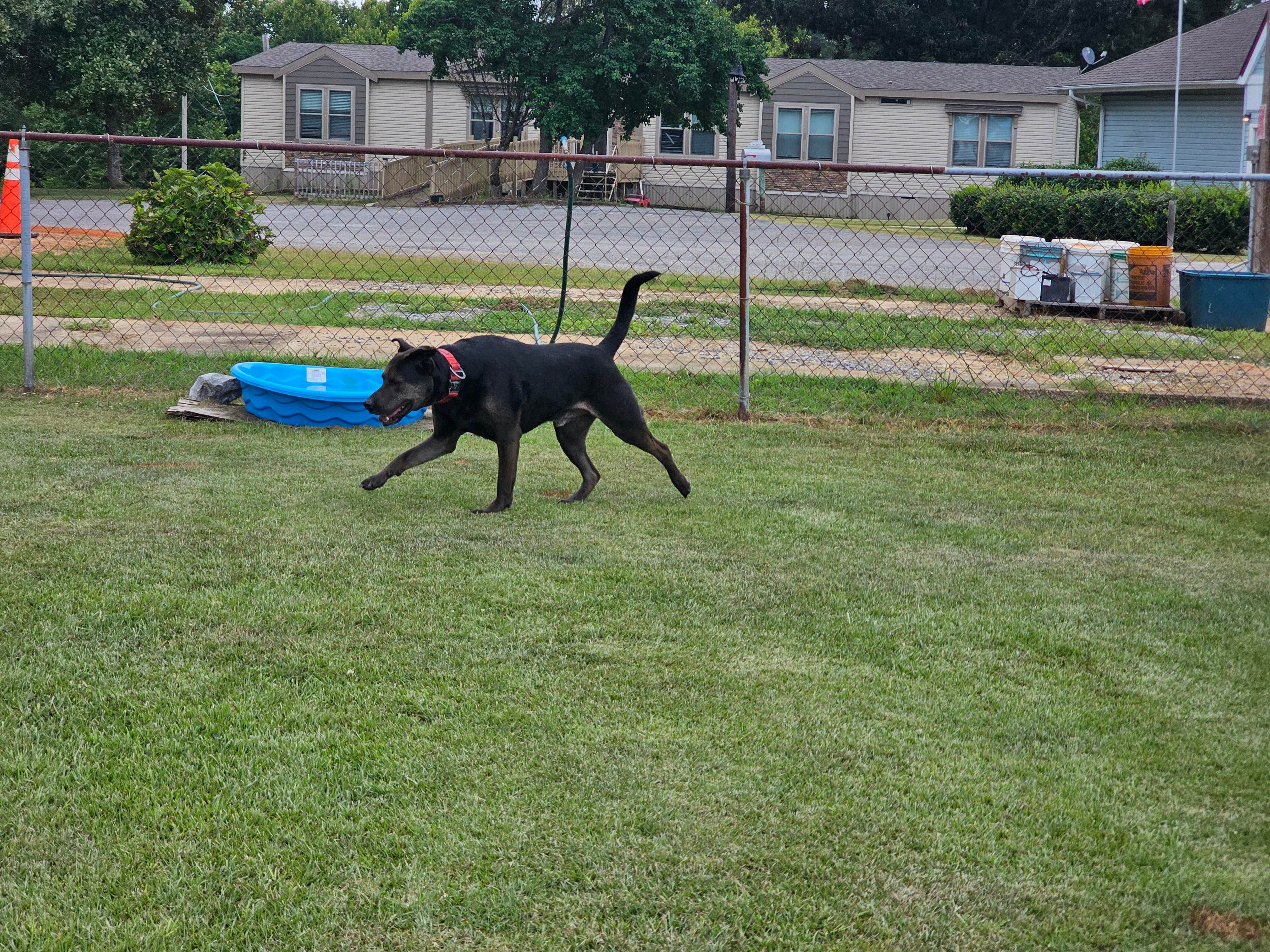Camper-submitted photo at Peach Queen Campground near Hollins, AL