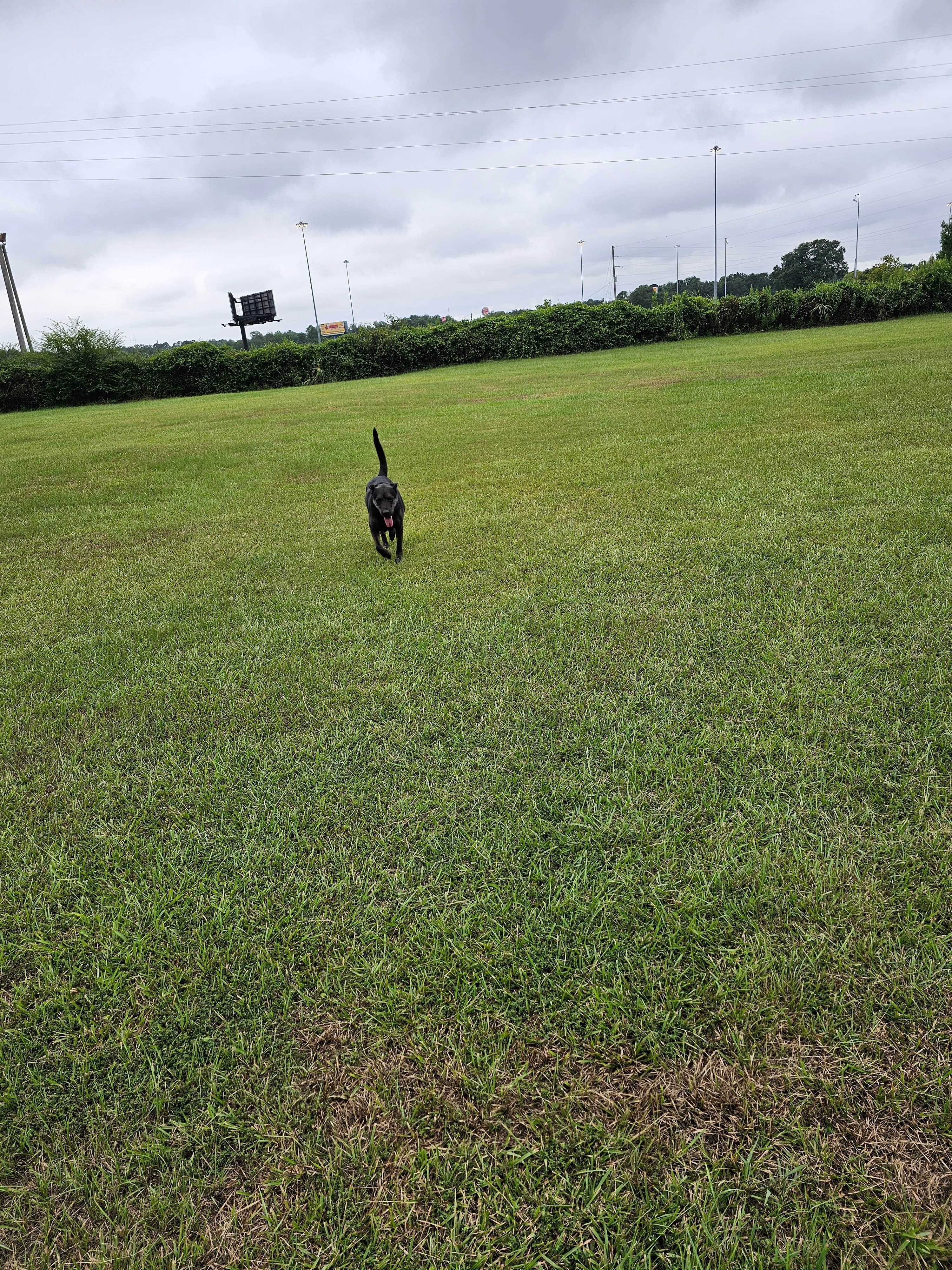 Camper-submitted photo at Peach Queen Campground near Hollins, AL