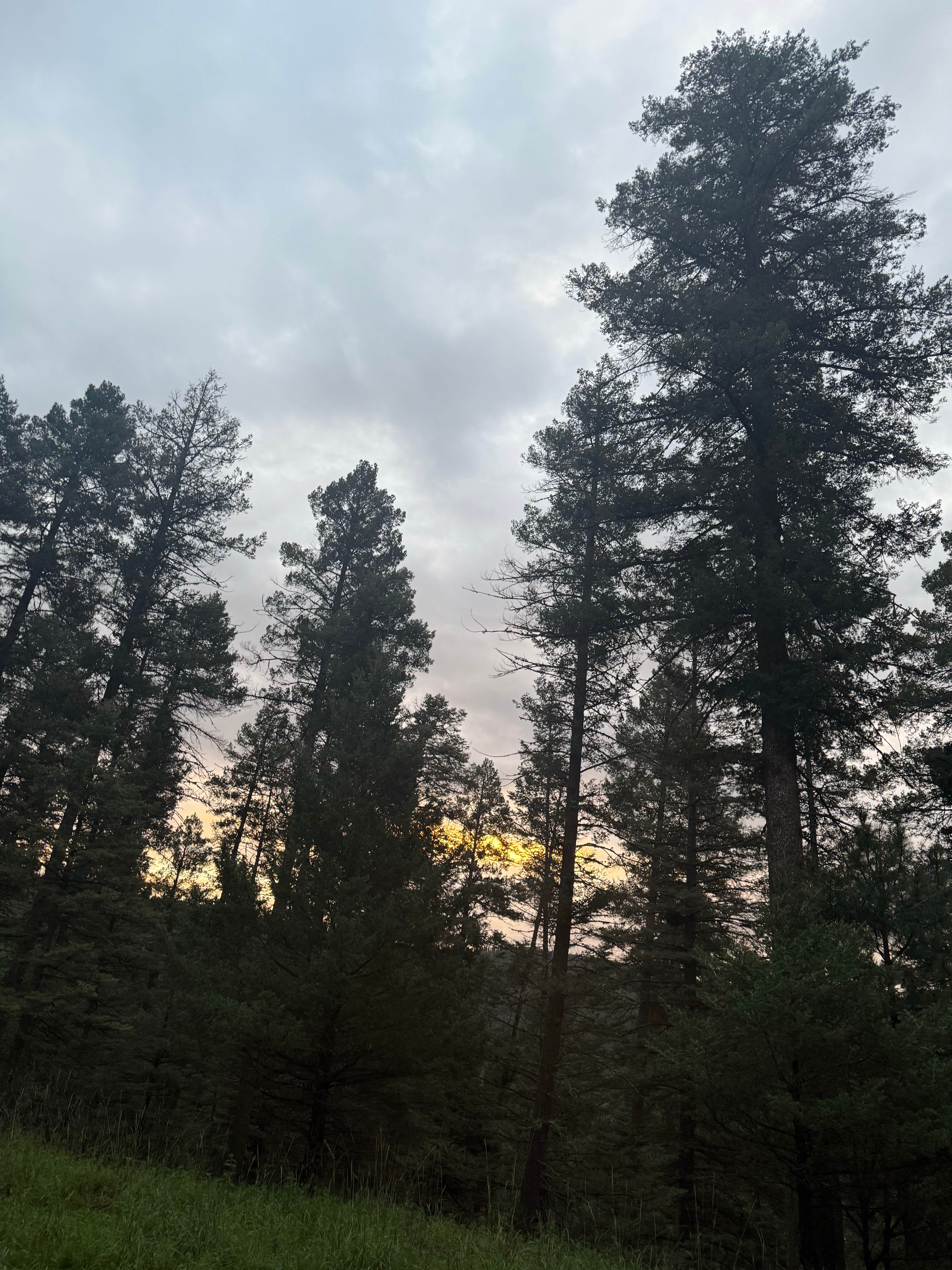 Camping near El Campo Glamping: Peacock Lane Camp, Lincoln National Forest, New Mexico