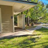 Review photo of Peacock Slough River Camp — Suwannee River Wilderness Trail by Jeannie B., November 27, 2025