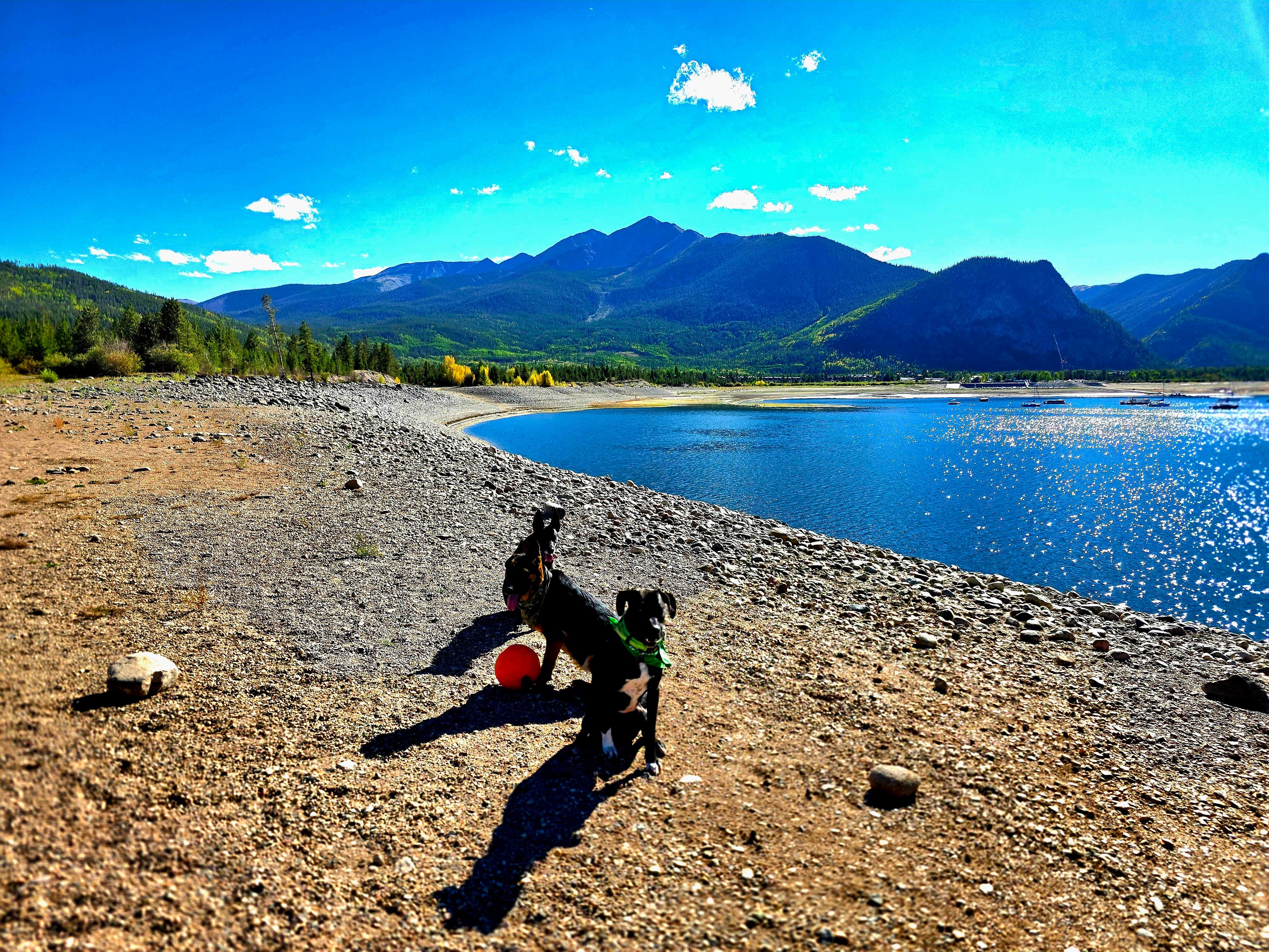 Don R.'s photo of camping with pets at Peak One Campground near Dillon, CO