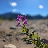 Review photo of Peak One Campground by Don R., September 4, 2026