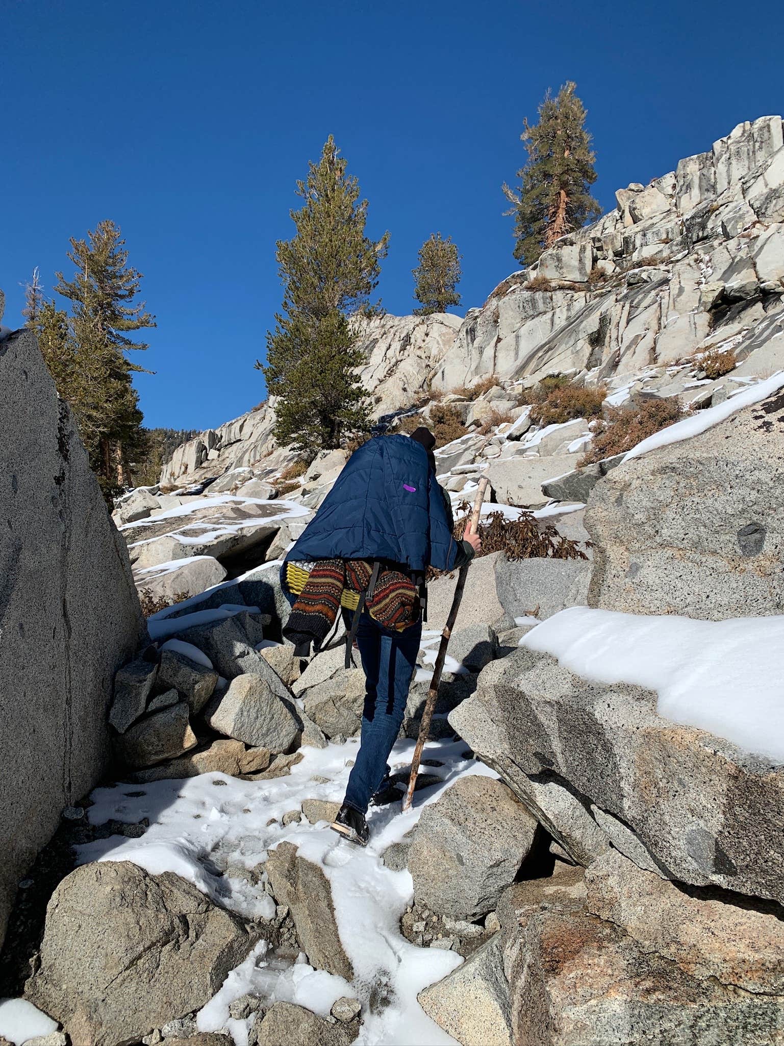 Camper-submitted photo at Pear Lake Winter Hut — Sequoia National Park near Sequoia & Kings Canyon National Parks