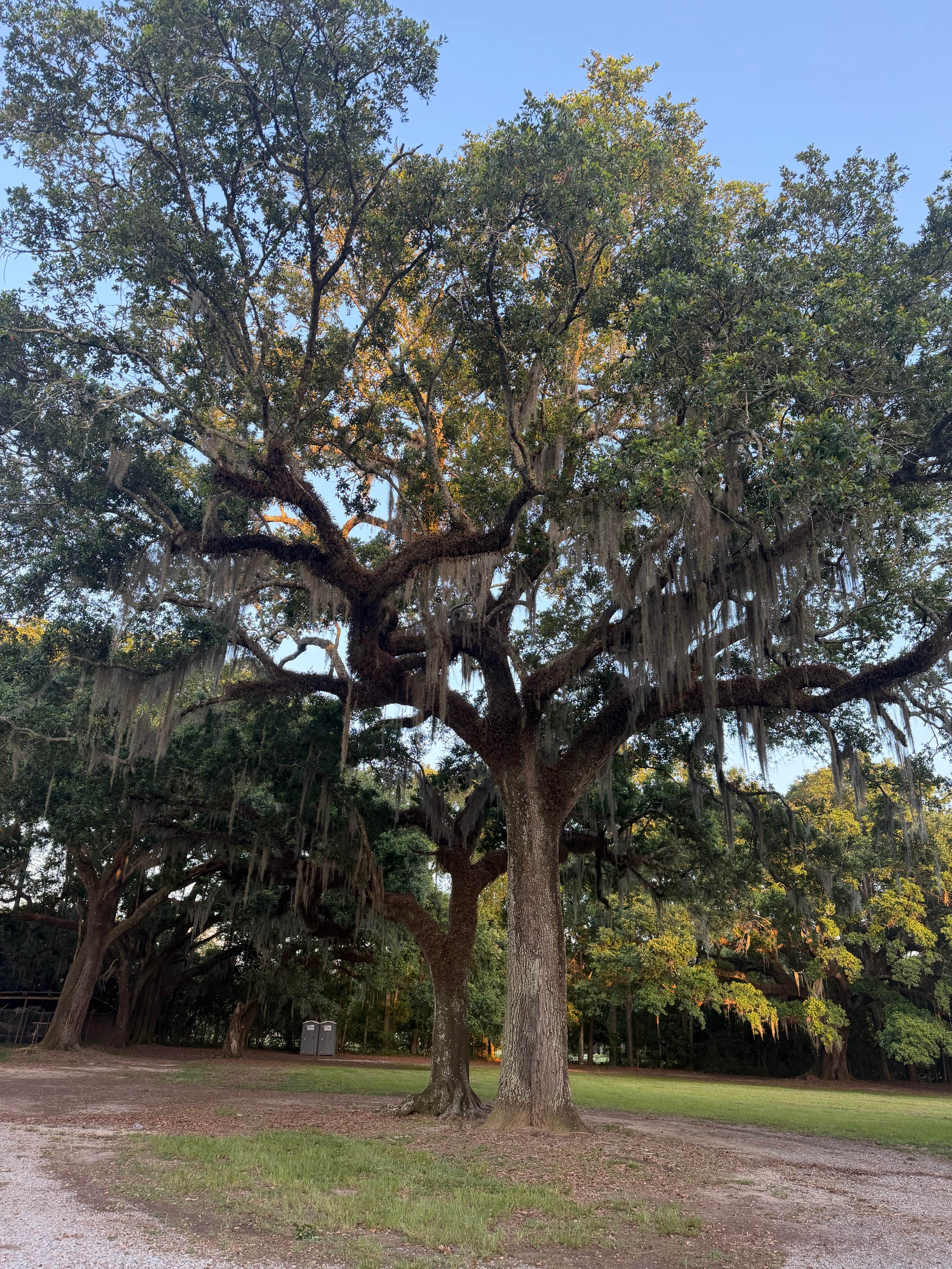 Camper-submitted photo at Pearl River WMA - Crawford Landing near New Orleans, LA