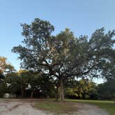 Review photo of Pearl River WMA - Crawford Landing by Caleb H., June 29, 2026