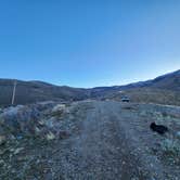 Review photo of Peavine Road Dispersed Camping by Genevieve R., December 28, 2023