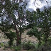 Review photo of Peavine Campground by Linda L., June 27, 2024