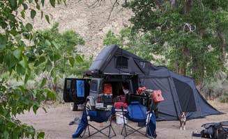 Linda L.'s photo of tent camping at Peavine Campground in Nevada
