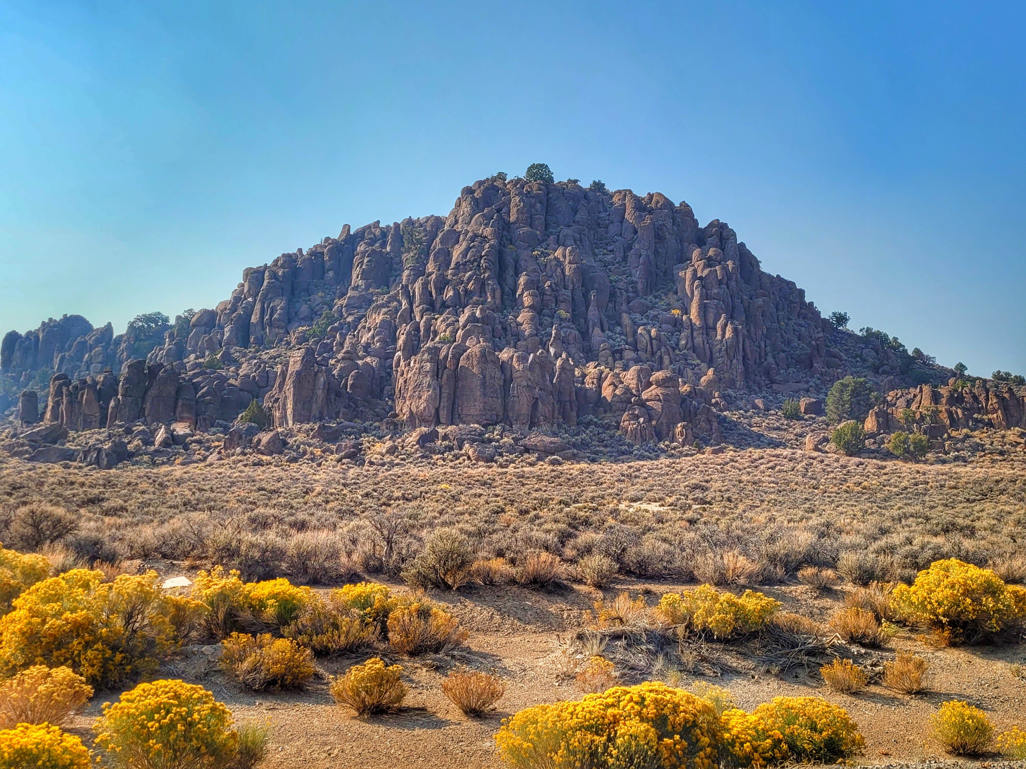 Camper-submitted photo at Peavine Campground near Round Mountain, NV