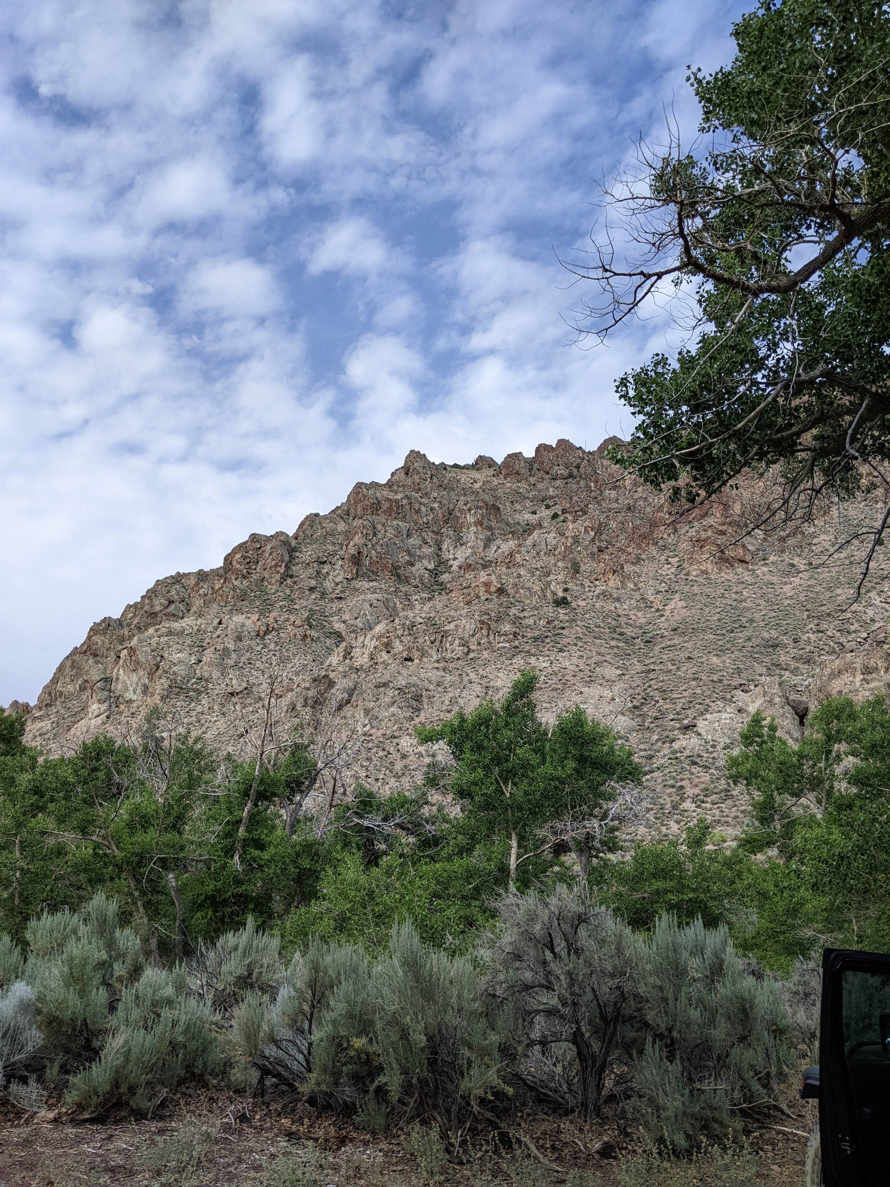Camping near Twin Trailhead Camp: Peavine Campground, Round Mountain, Nevada