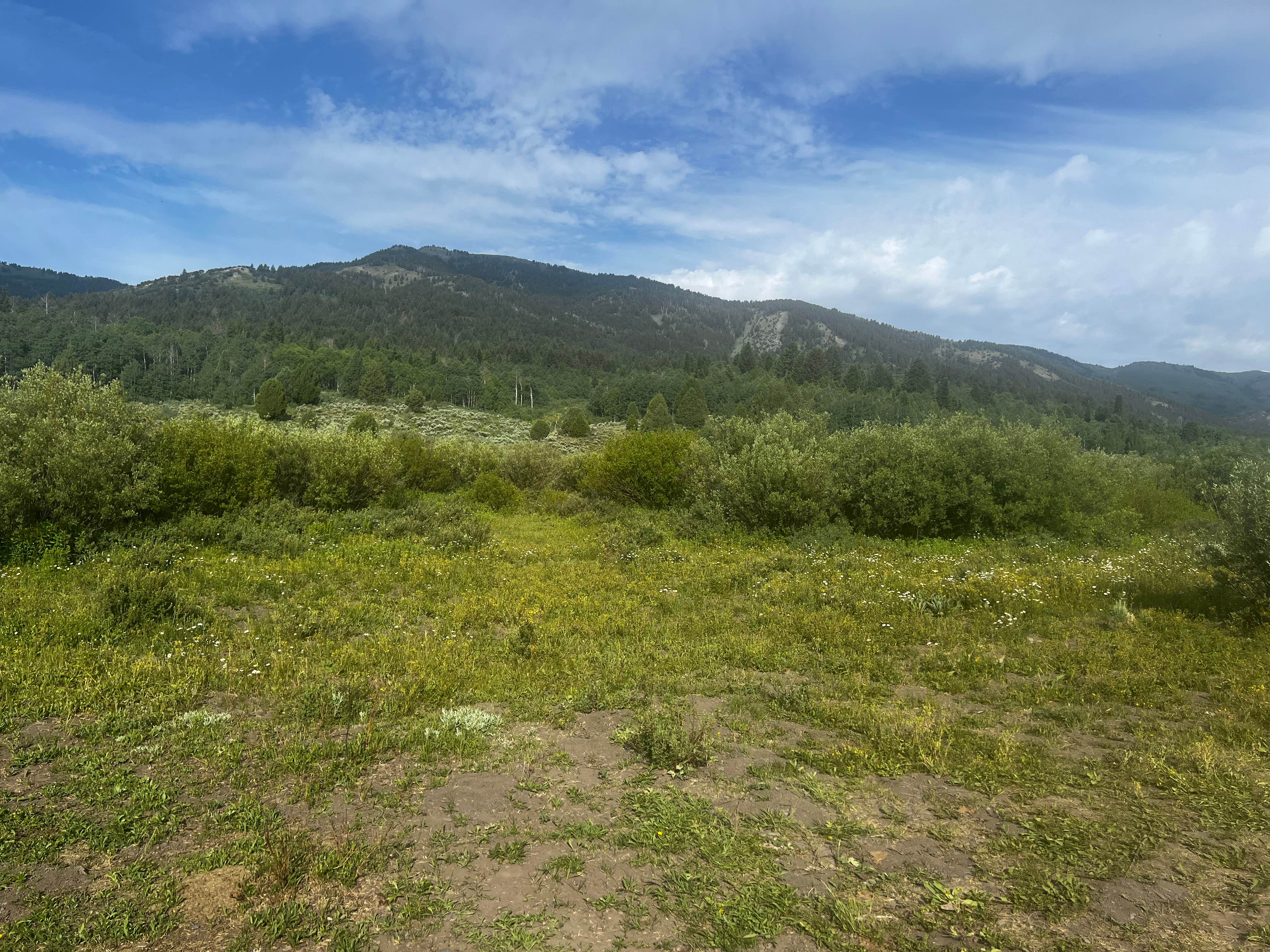 Camper-submitted photo at pebble road dispersed camping near Bancroft, ID