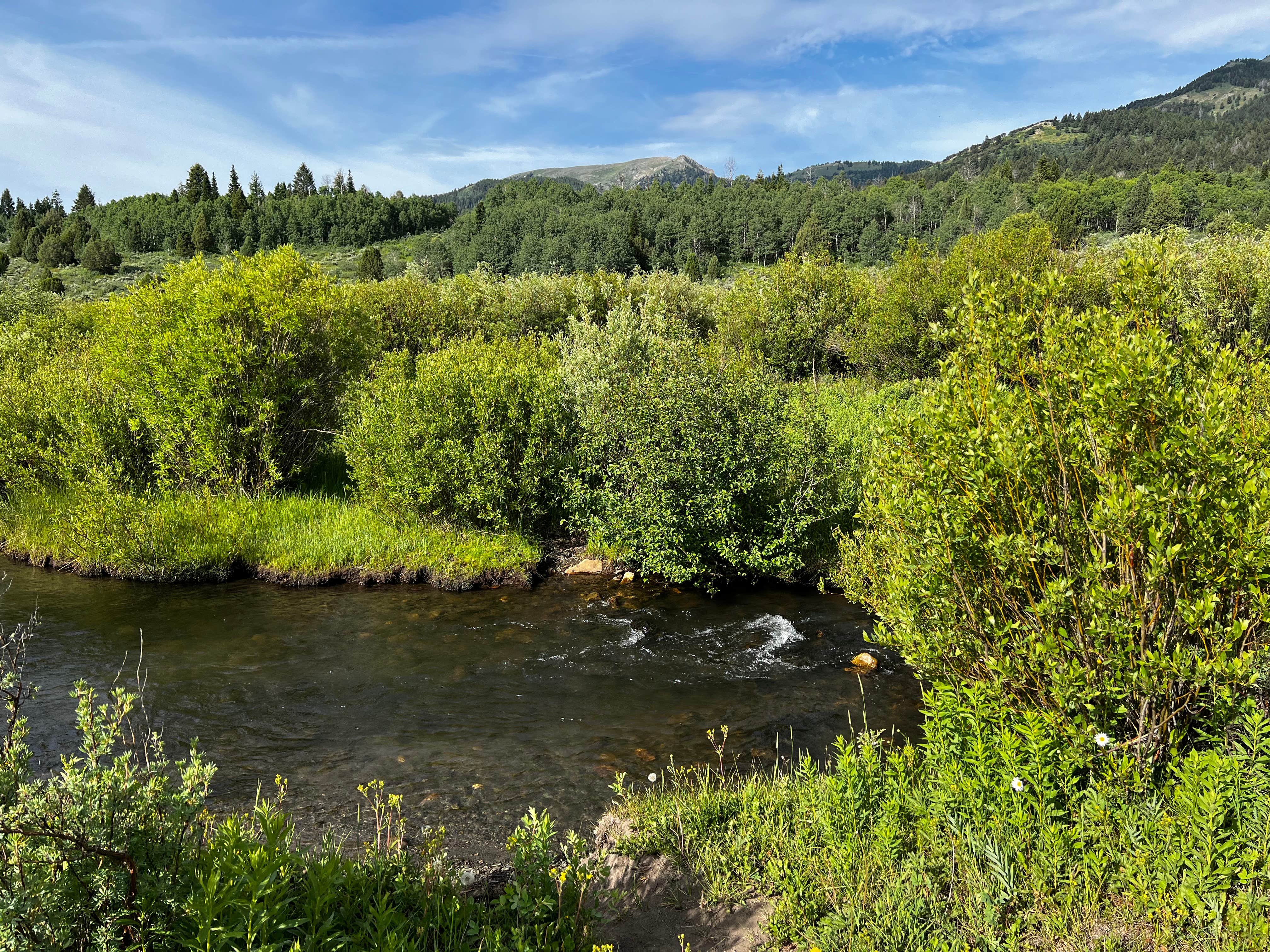 Camper-submitted photo at pebble road dispersed camping near Bancroft, ID