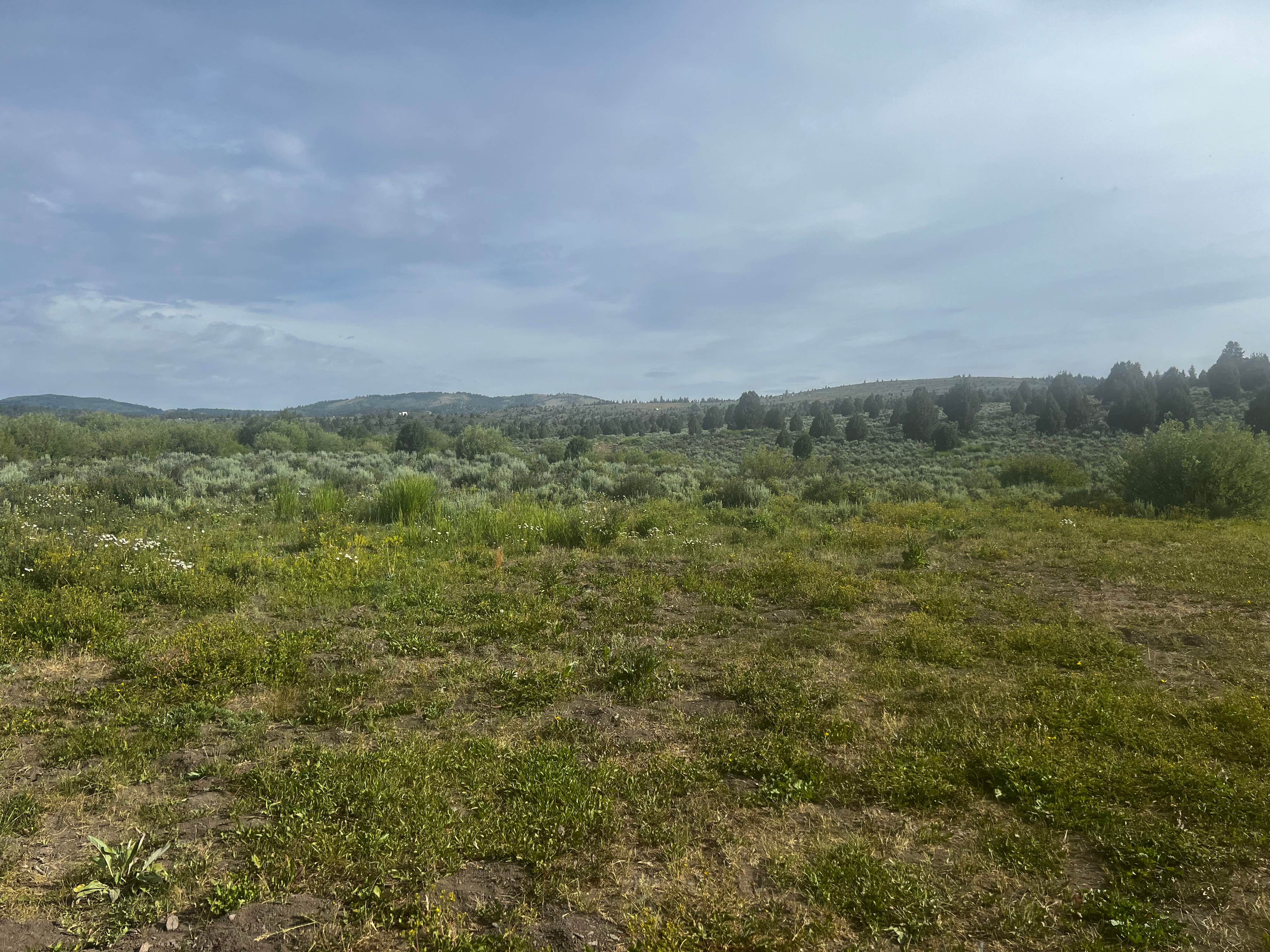 Camper-submitted photo at pebble road dispersed camping near Bancroft, ID