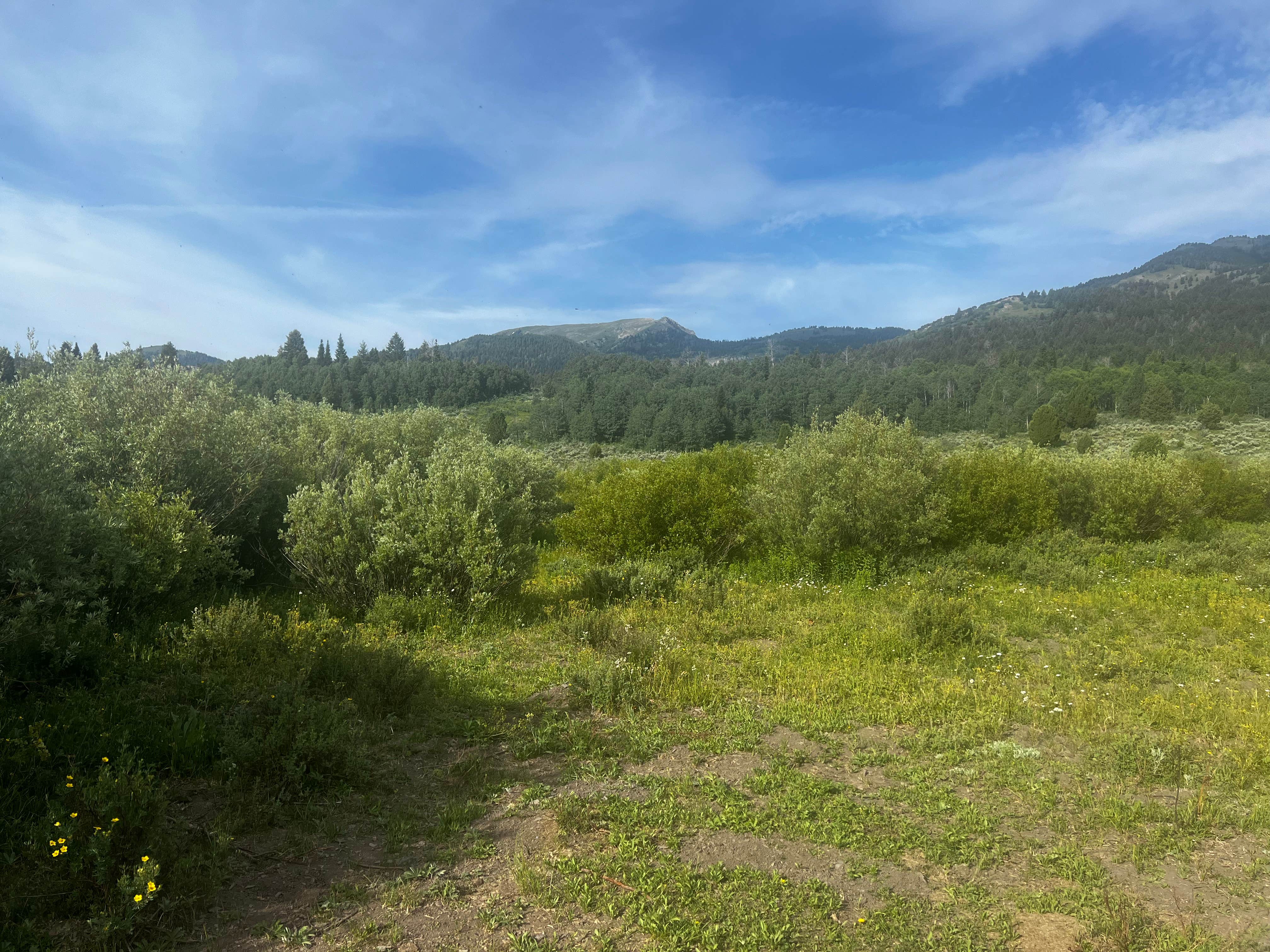 Camper-submitted photo at pebble road dispersed camping near Bancroft, ID
