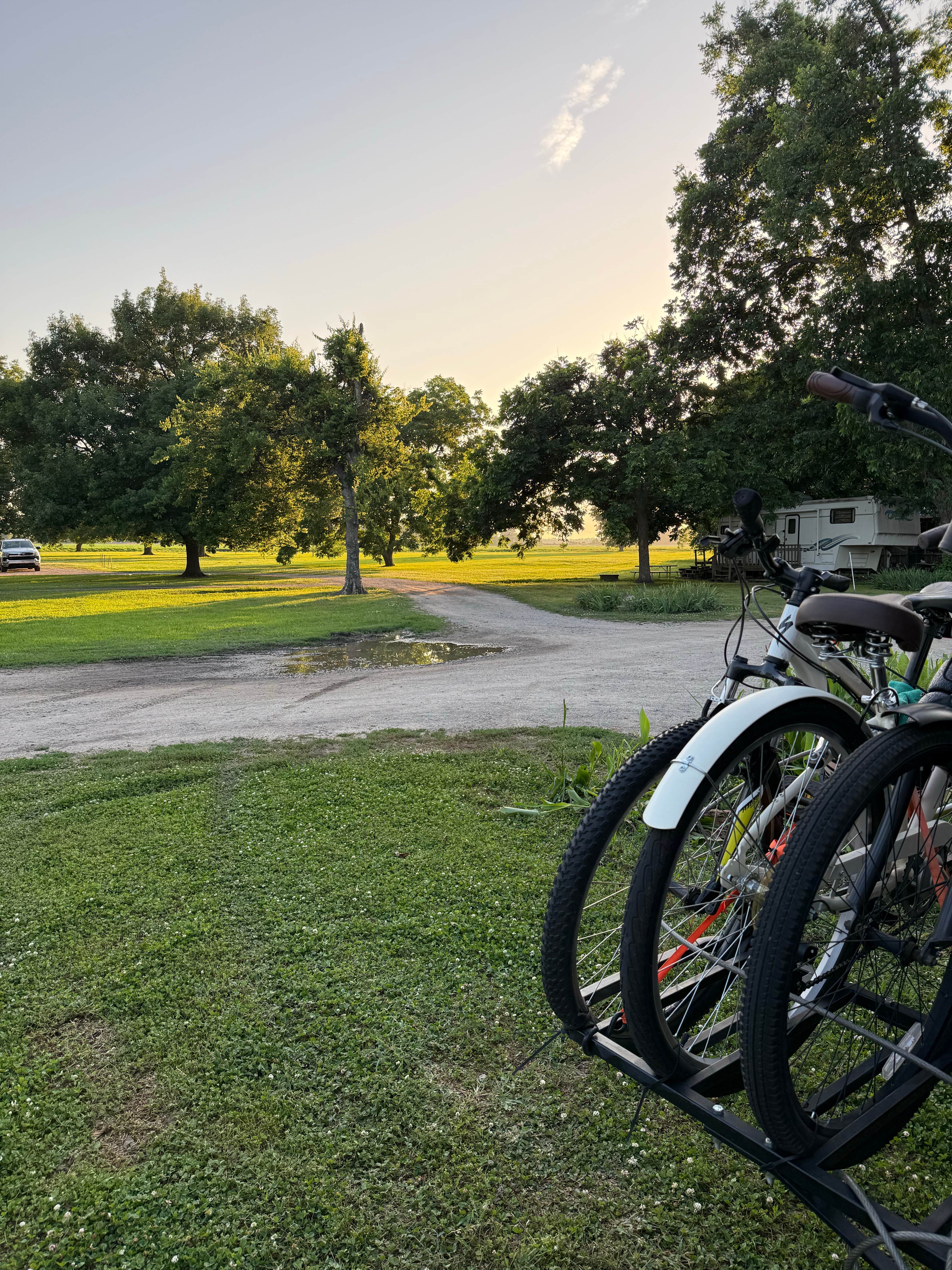Camper submitted image from Pecan Grove RV Park - 1