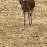 Review photo of Pecan Valley RV Park by Jane S., December 16, 2025