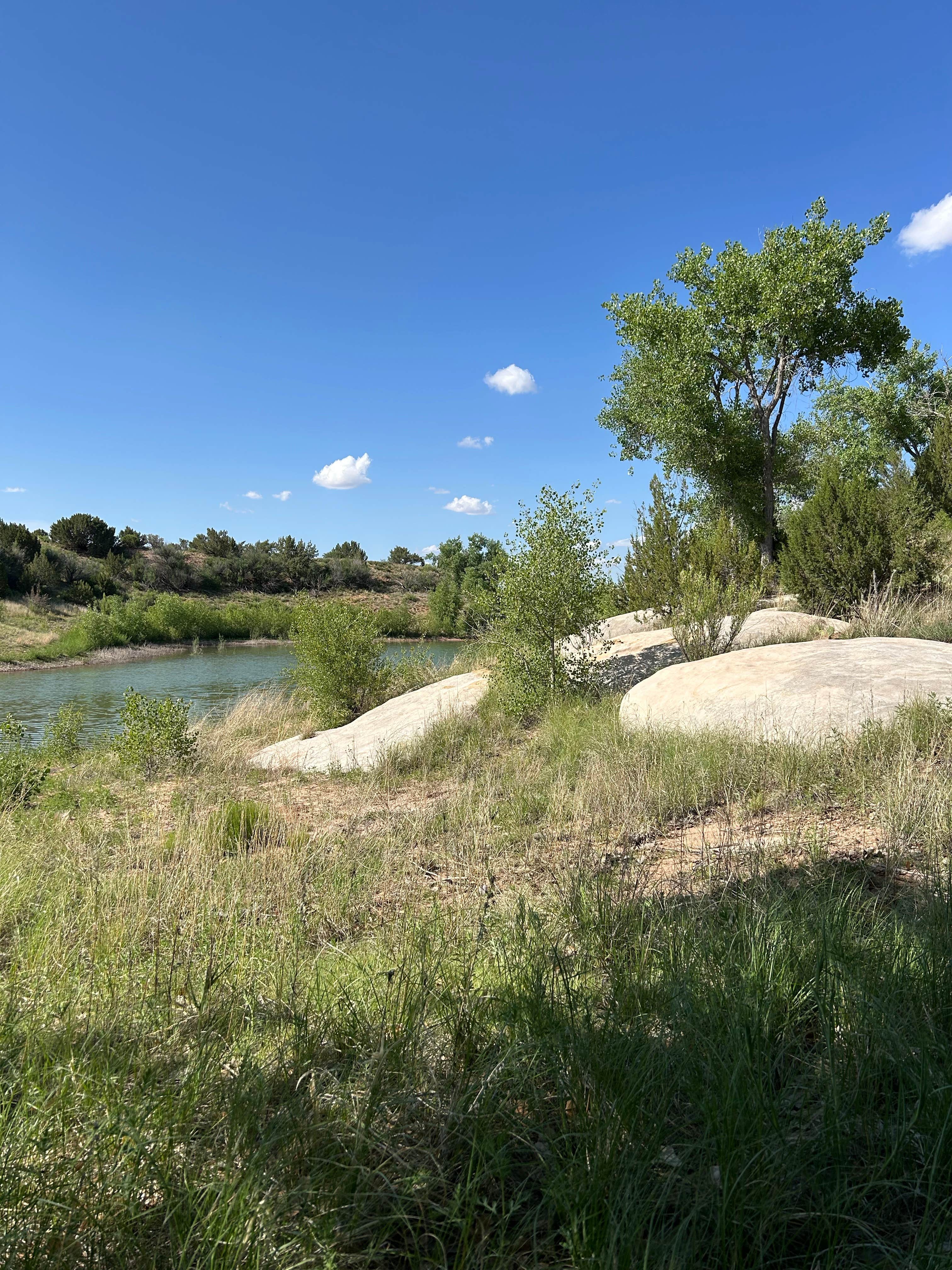 Camper-submitted photo at Pecos Campground — Sumner Lake State Park near Santa Rosa, NM