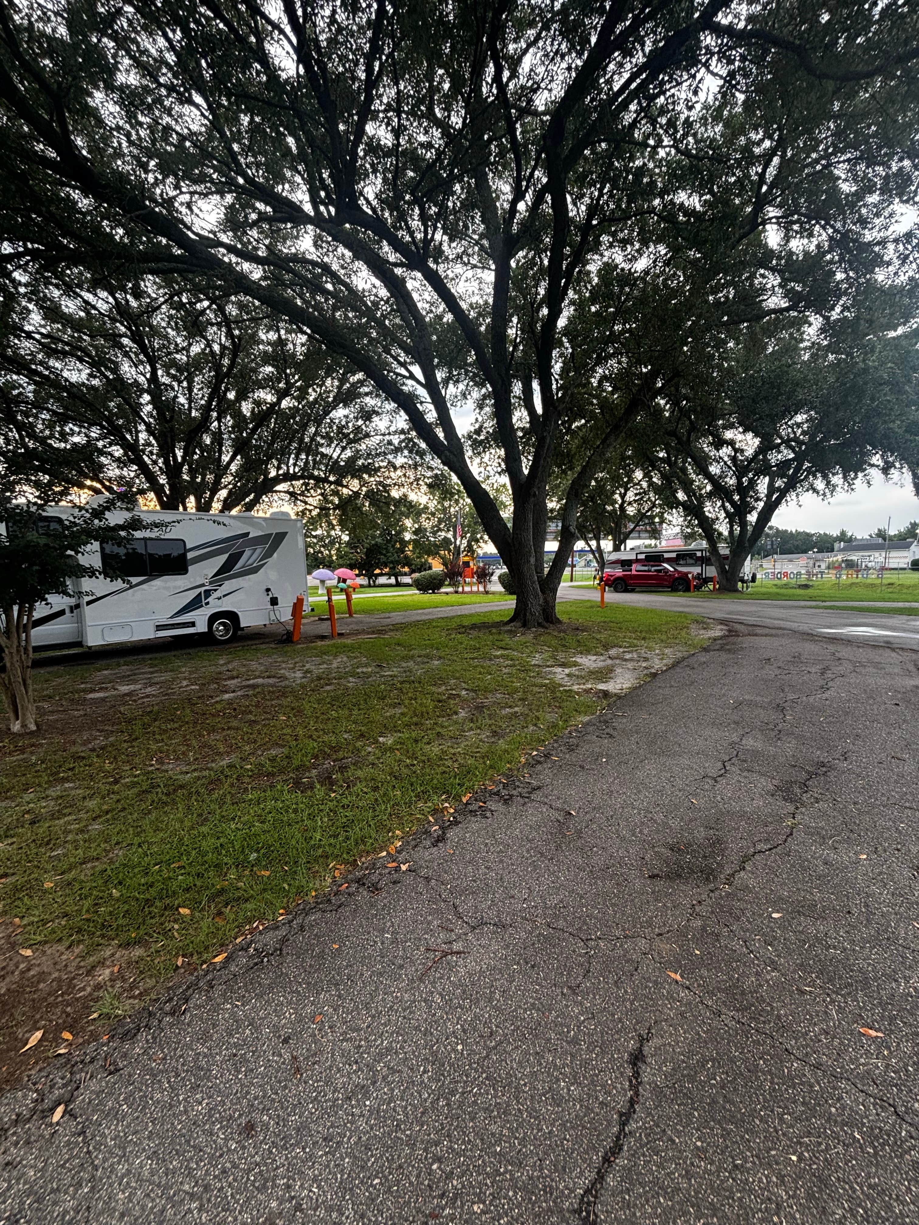 Jennifer H.'s photo of rv camping at Pedro's Campground at South of the Border near Timmonsville, SC