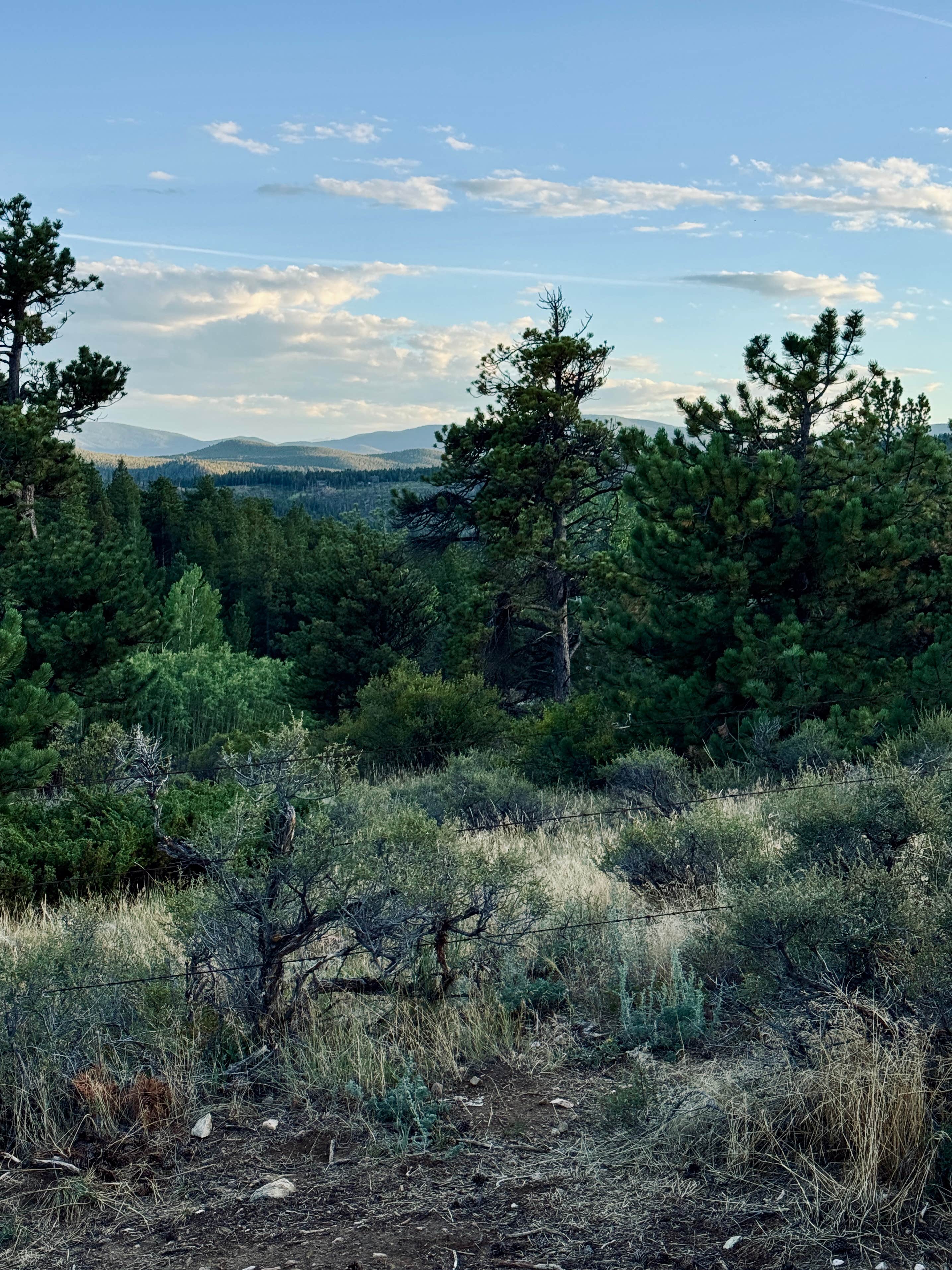 peewink dispersed site 3
