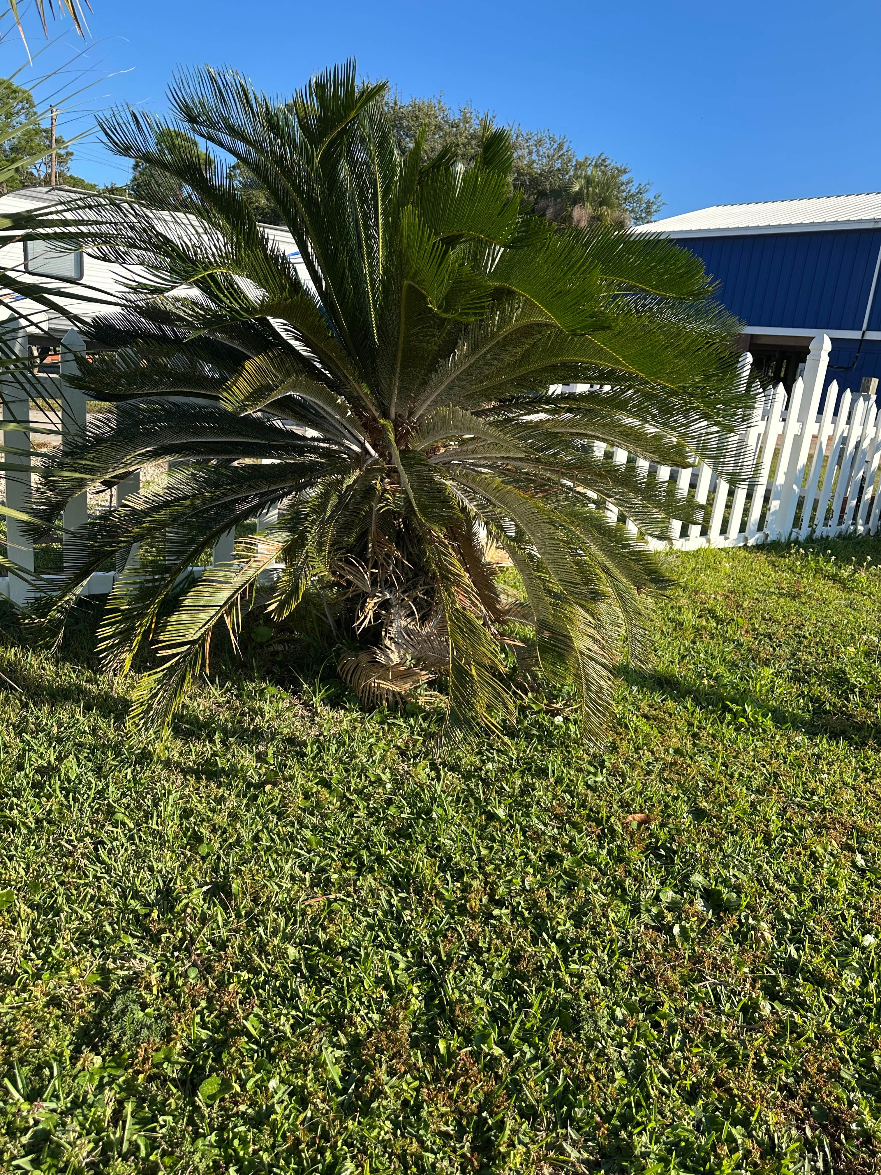 Camper-submitted photo at Pelican Nest RV Resort & Campground near Dauphin Island, AL