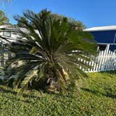 Review photo of Pelican Nest RV Resort & Campground by Chris L., November 7, 2025