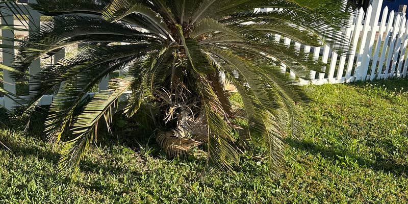 Camper submitted image from Pelican Nest RV Resort & Campground