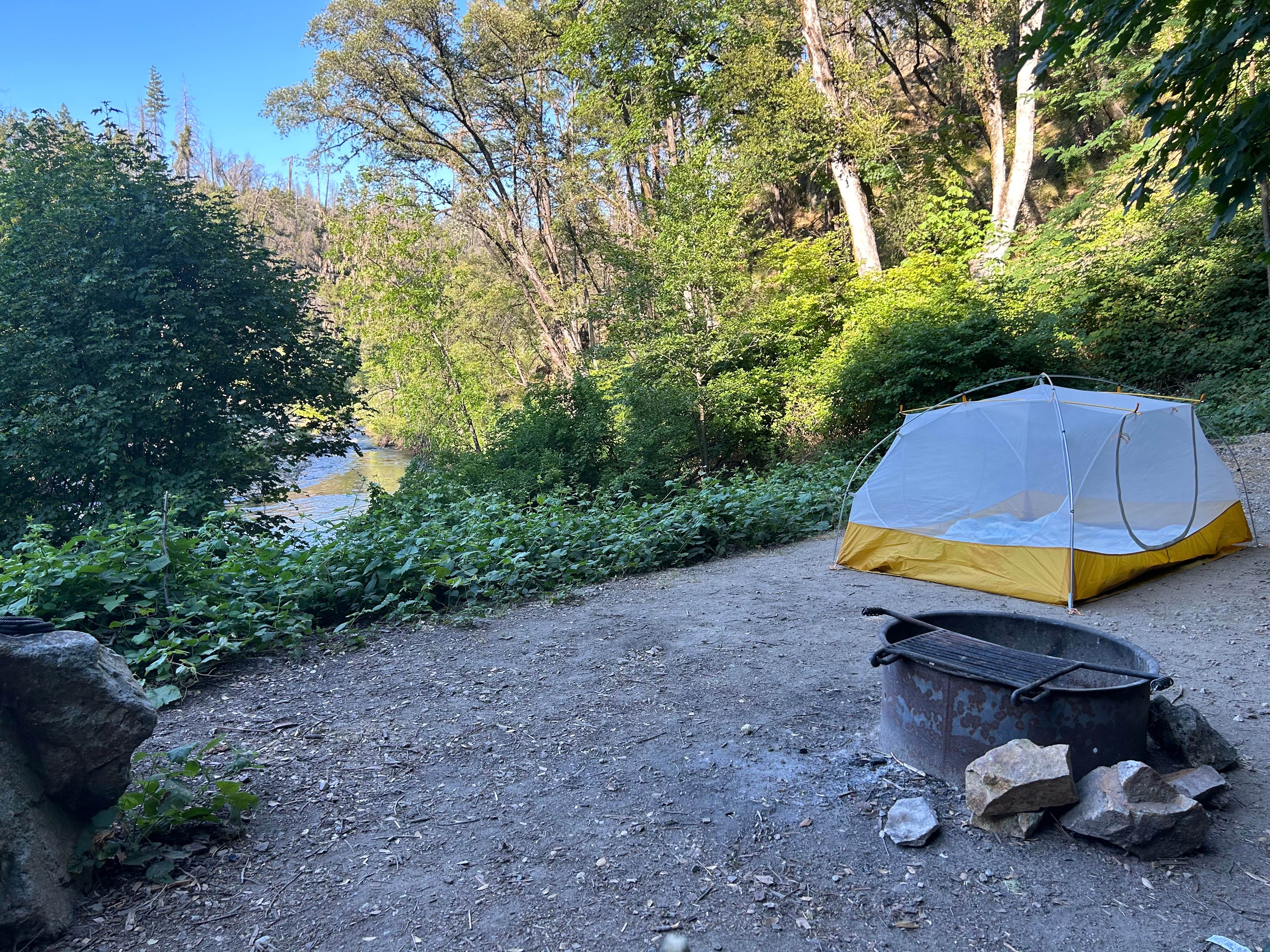 Stacy L.'s photo of tent camping at Peltier Bridge Primitive Campground — Whiskeytown-Shasta-Trinity National Recreation Area near Hayfork, CA
