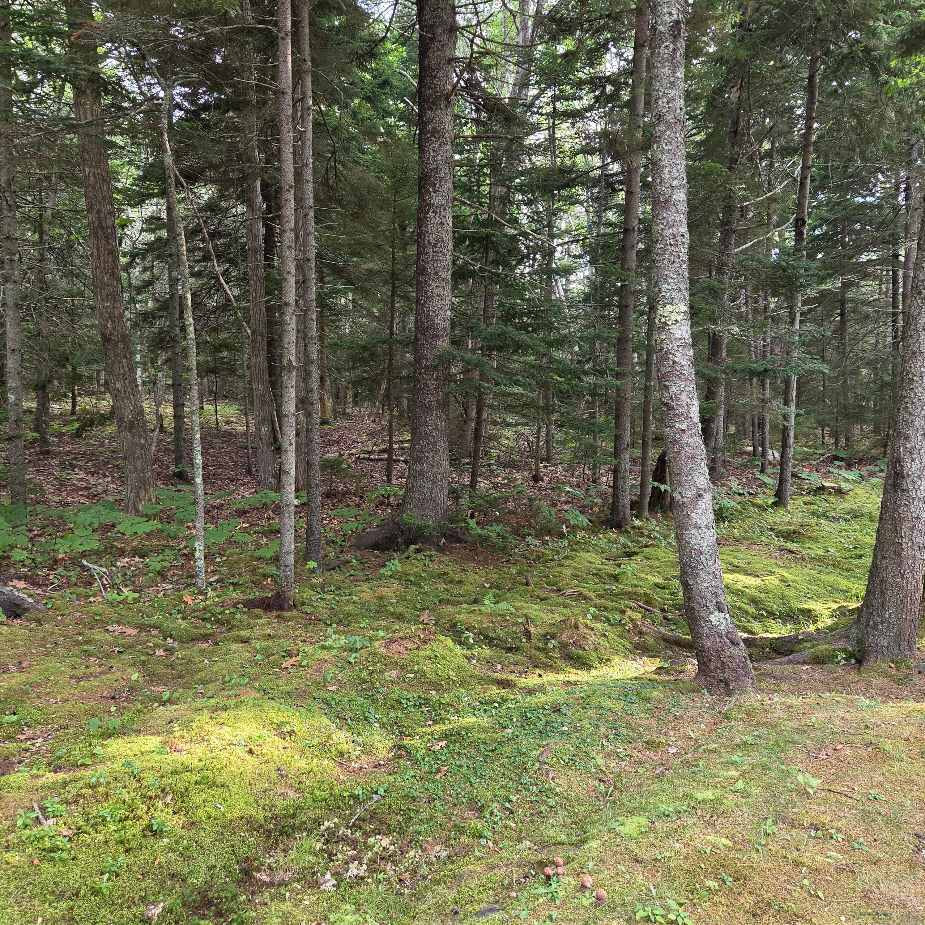 Camper-submitted photo at Pemaquid Point Campground near Edgecomb, ME
