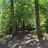 Review photo of Pend Oreille County Park by Chandra B., September 16, 2025