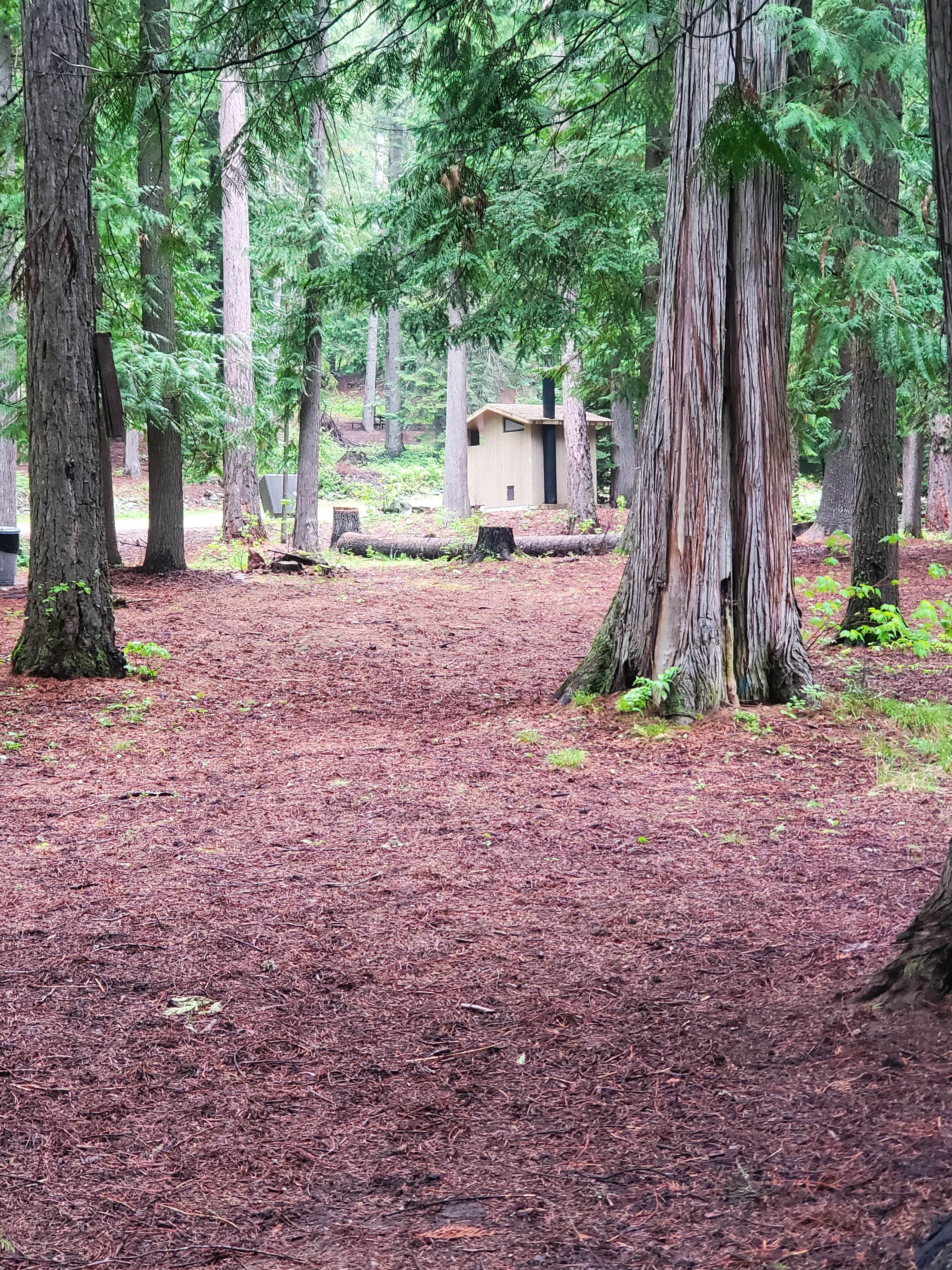 Camper-submitted photo at Pend Oreille County Park near Chattaroy, WA