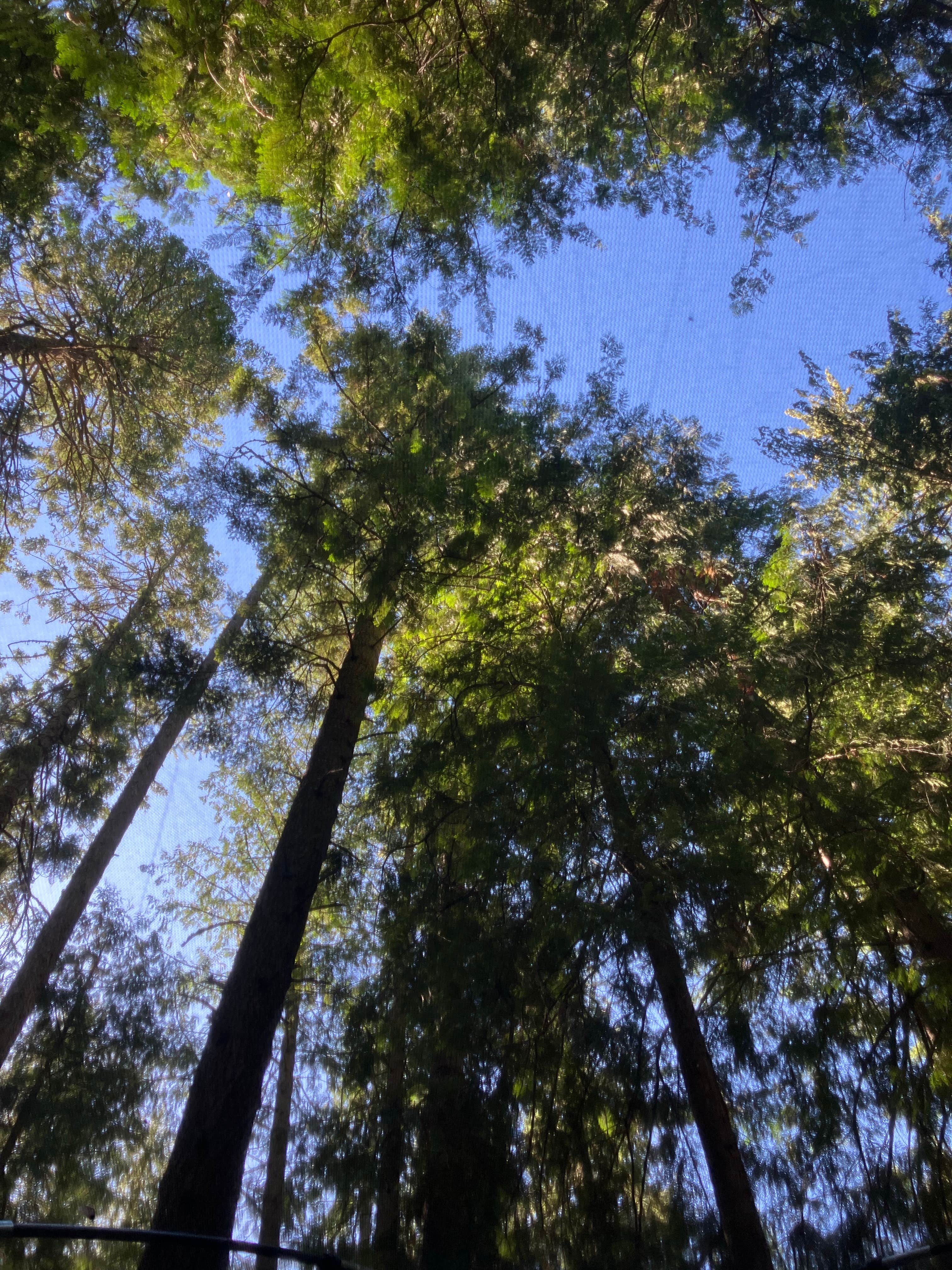 Camper-submitted photo at Pend Oreille County Park near Chattaroy, WA