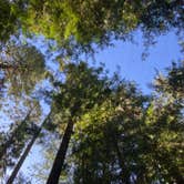 Review photo of Pend Oreille County Park by Chandra B., September 16, 2025