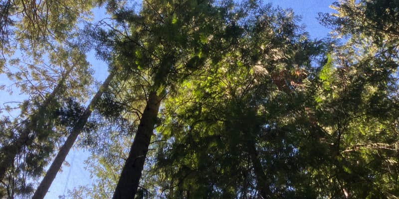 Camper submitted image from Pend Oreille County Park