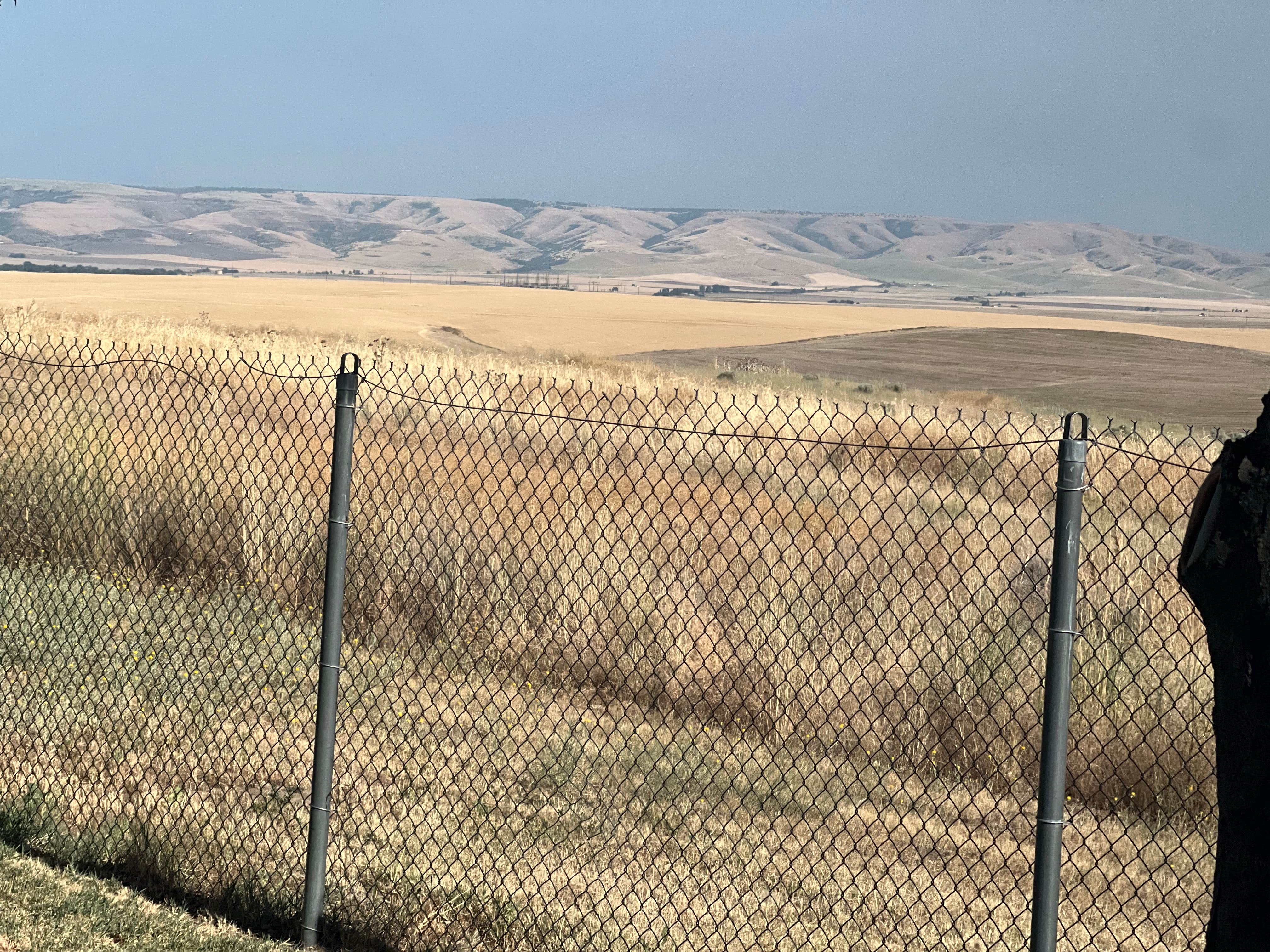 Camper-submitted photo at Pendleton KOA near Adams, OR