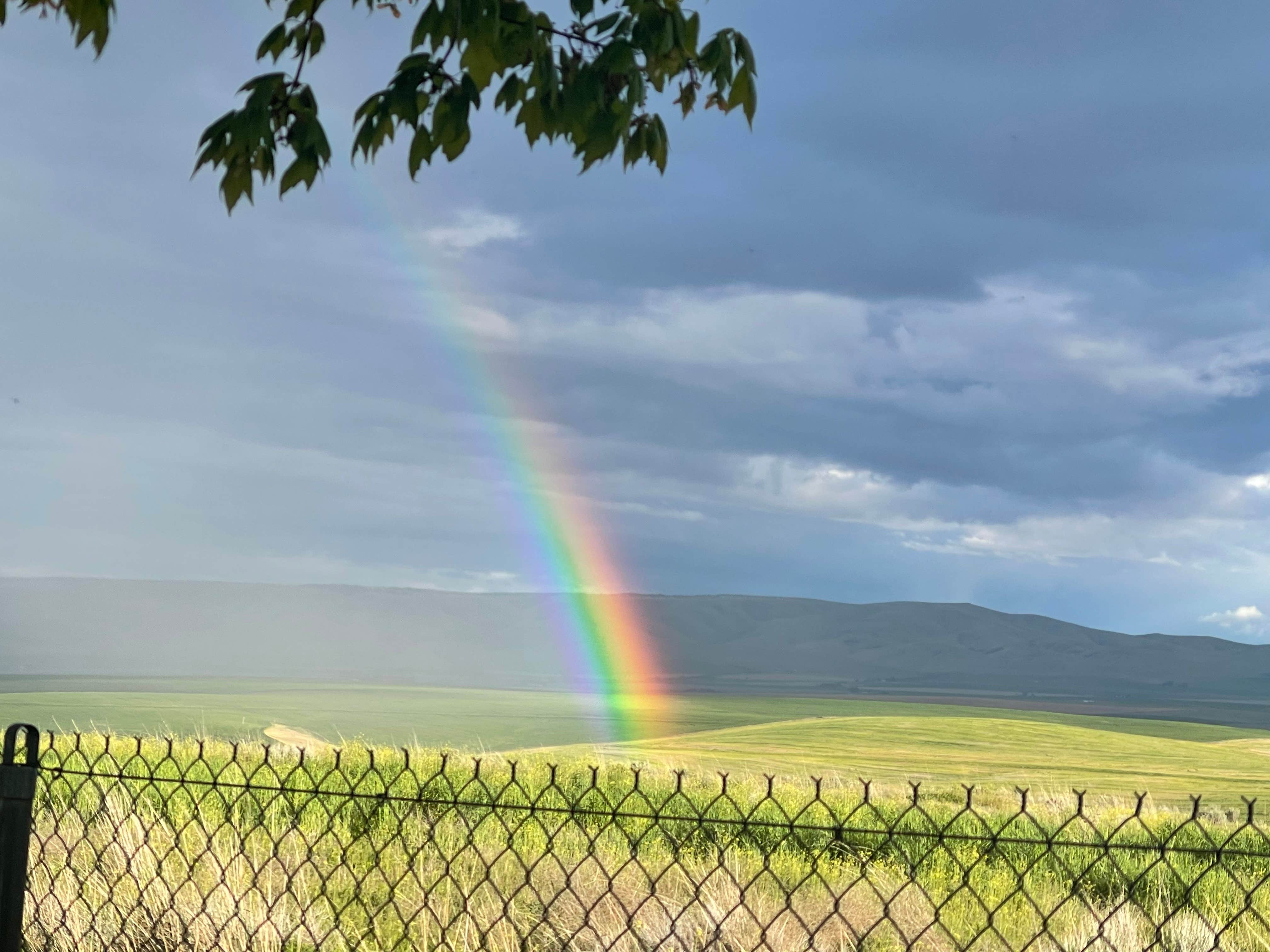 Camper-submitted photo at Pendleton KOA near Adams, OR