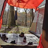 Review photo of Penitentiary Glen Reservation Campsite by Ky G., November 15, 2023