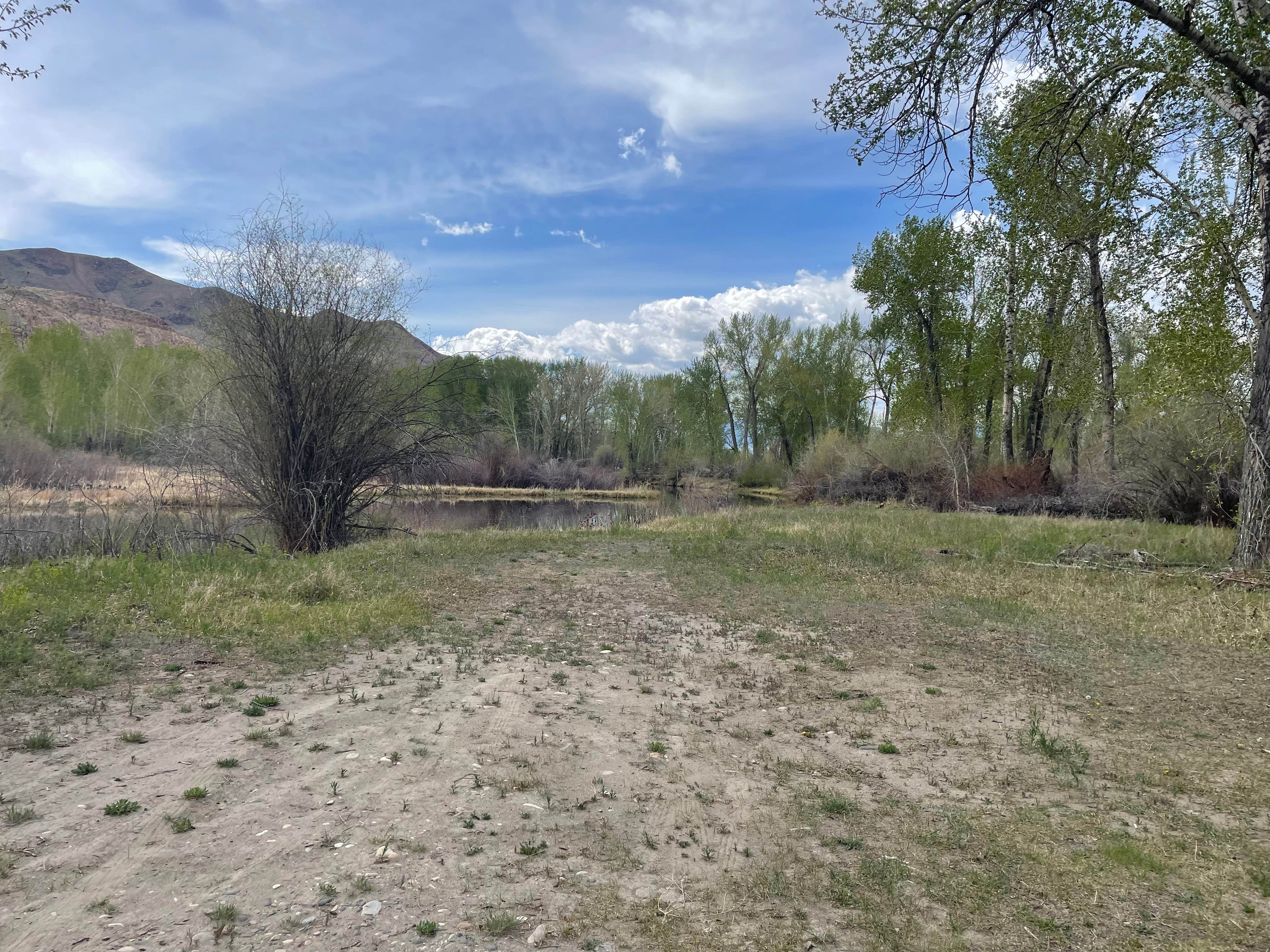 Camping near Bayhorse Recreation Site: Pennal Gulch, Challis, Idaho