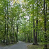 Review photo of Black Moshannon State Park Campground by Steve , September 20, 2024