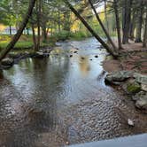 Review photo of Caledonia State Park Campground by MsTrailBlazer 🏔., May 12, 2026