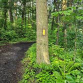 Review photo of Caledonia State Park Campground by Karl F., July 9, 2024