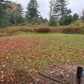 Review photo of Cherry Springs State Park Campground by michael R., May 22, 2026