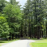 Review photo of Clear Creek State Park Campground by Tom O., June 20, 2025