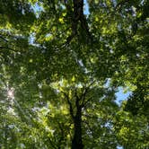 Review photo of Codorus State Park Campground by MsTrailBlazer 🏔., June 6, 2026