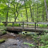 Review photo of Colonel Denning State Park Campground by Tiff T., June 4, 2024