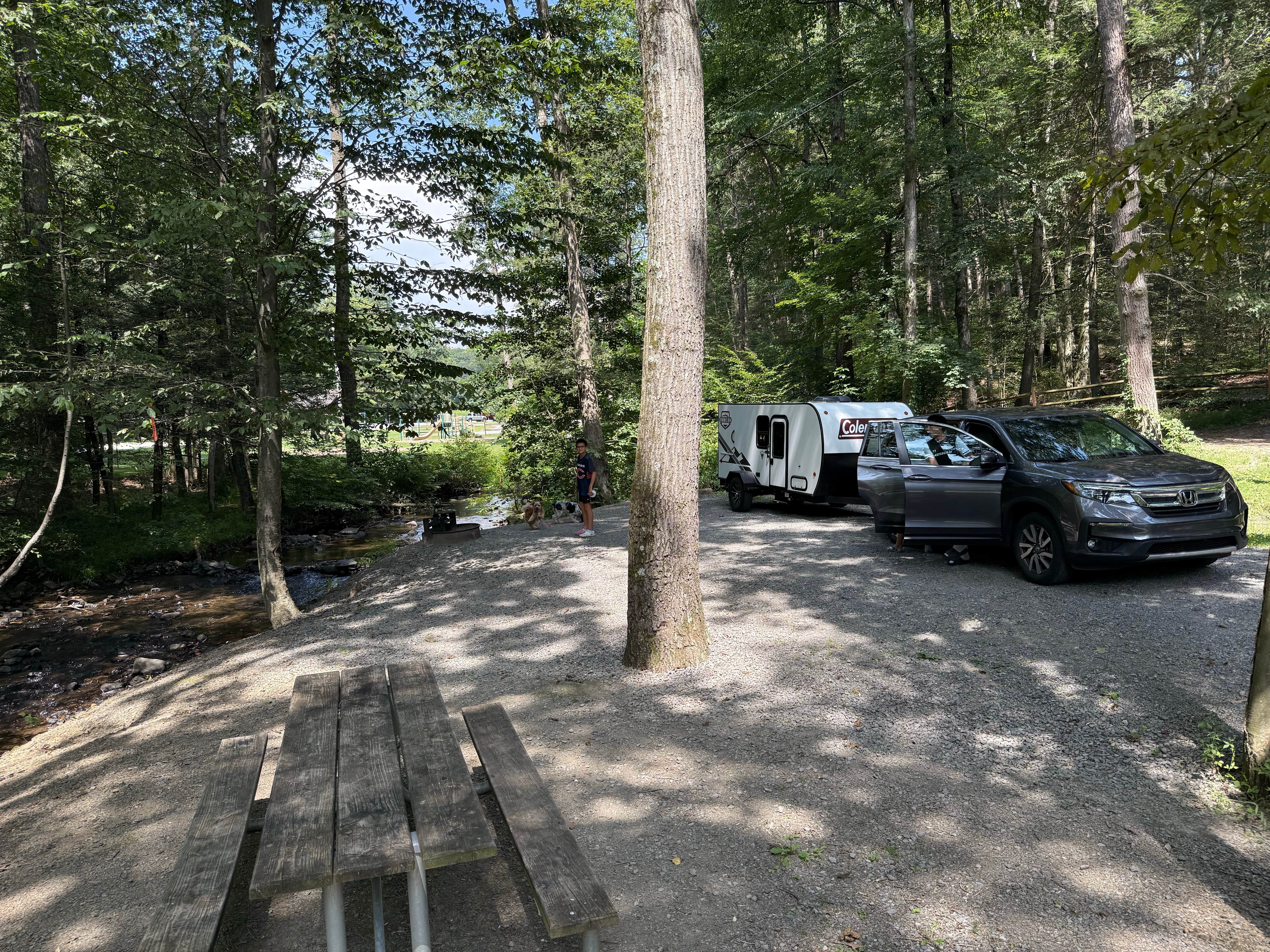 Etzer D.'s photo of camping with pets at Colonel Denning State Park Campground near Waterfall, PA